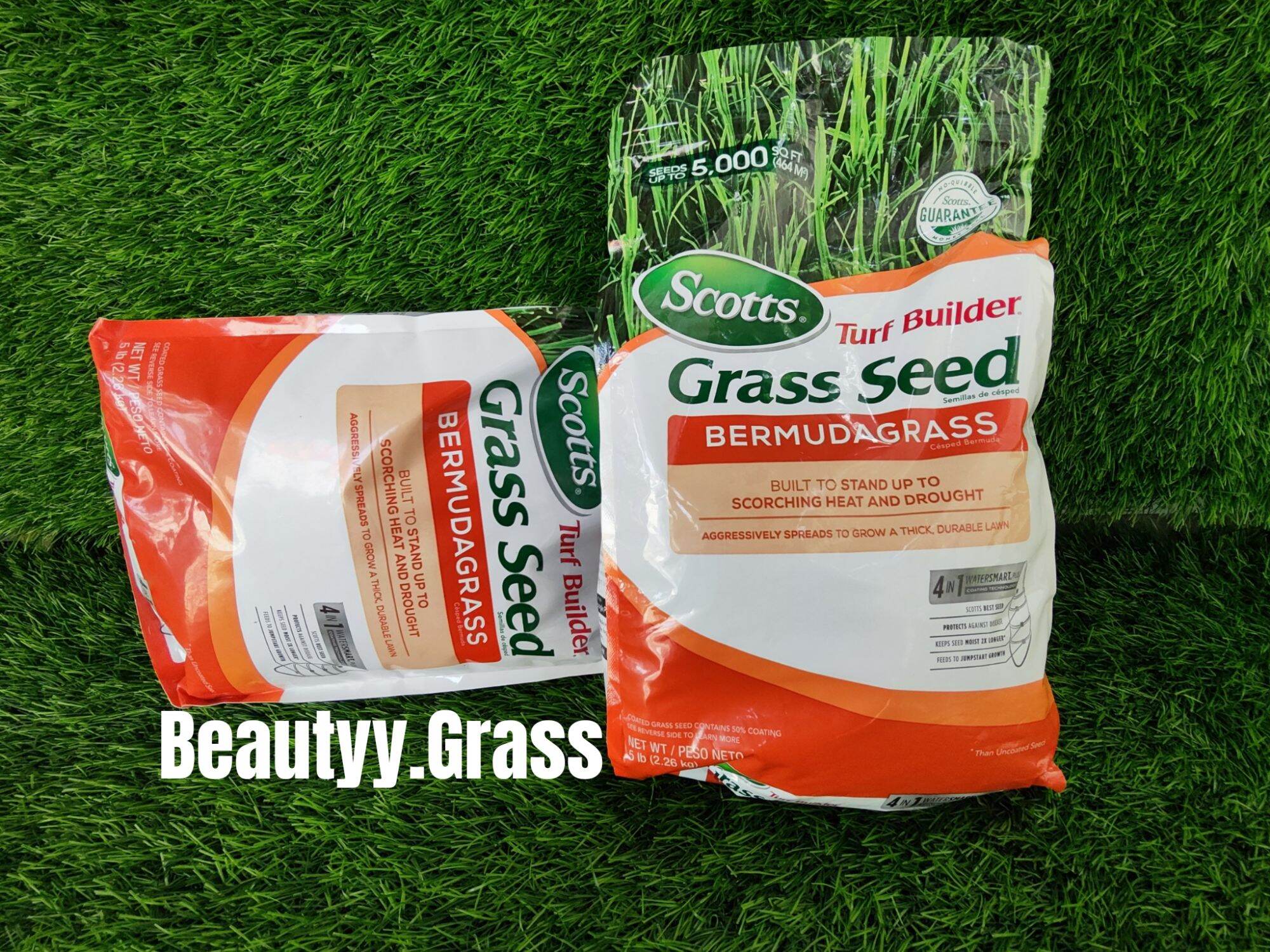 ASLI BERMUDA GRASS - Biji rumput bermuda ukuran 1kg / rumput lapangan ...