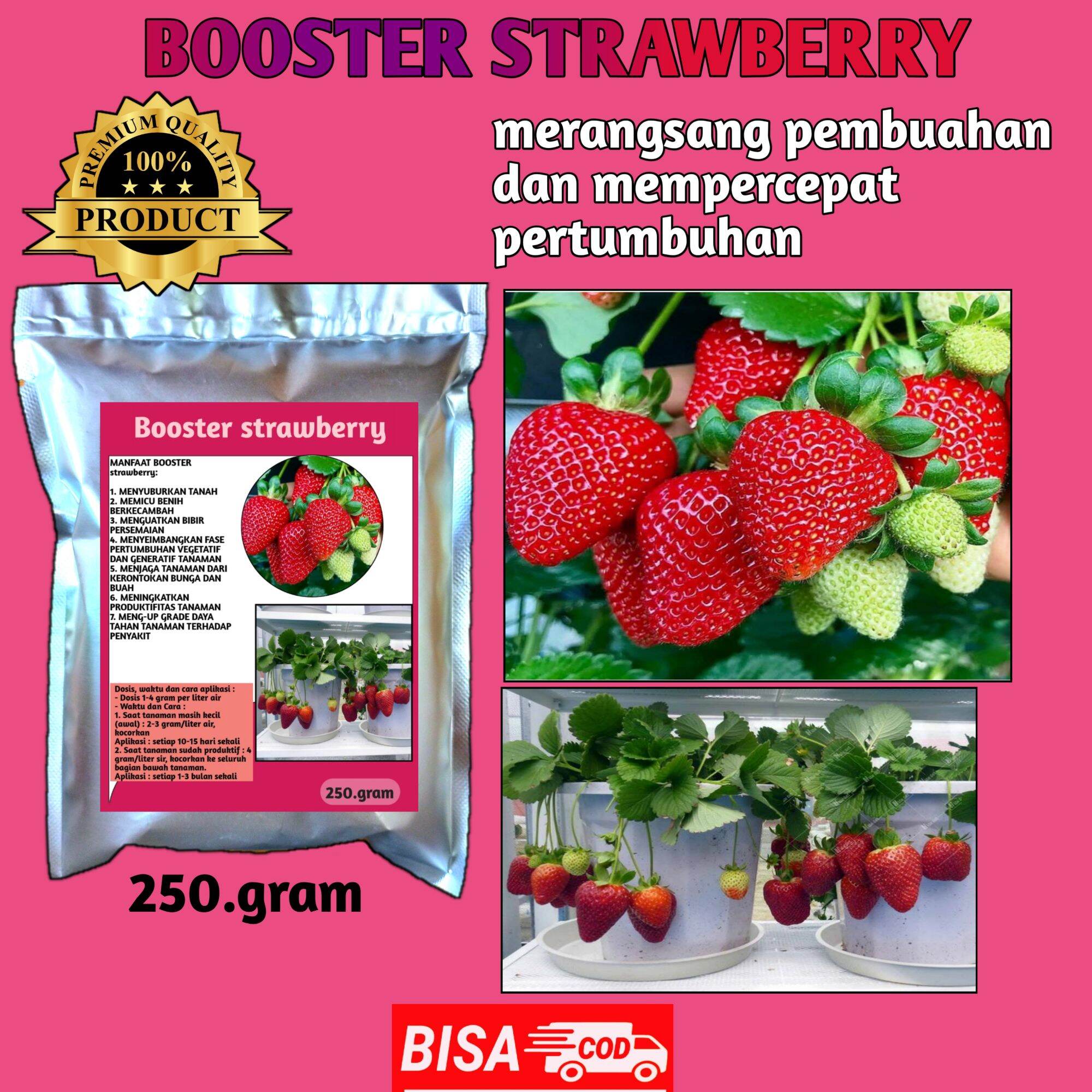 Pupuk Organik Perangsang Buah STRAWBERRY Pupuk Buah Memacu Pembuahan ...