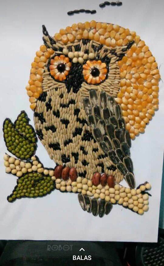 kolase biji bijian burung hantu prakarya sekolah | Lazada Indonesia