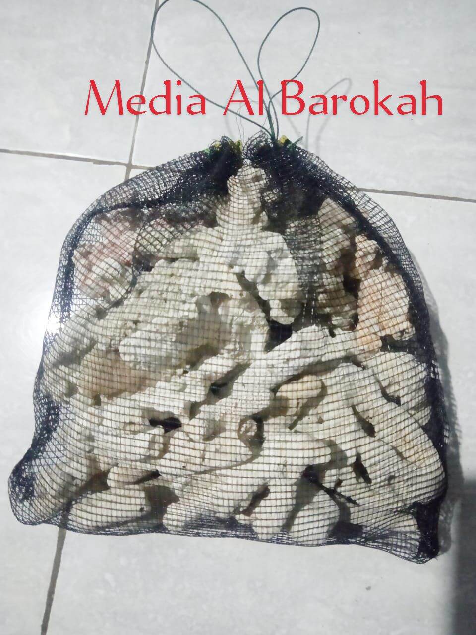 karang jahe media filter aquarium dan kolam ikan koi 2kg | Lazada Indonesia