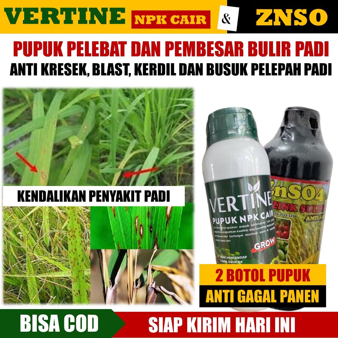 Promo Botol Pupuk Pelebat Dan Pembesar Bulir Padi Anti Kresek Blast Kerdil Dan Busuk Pelepah