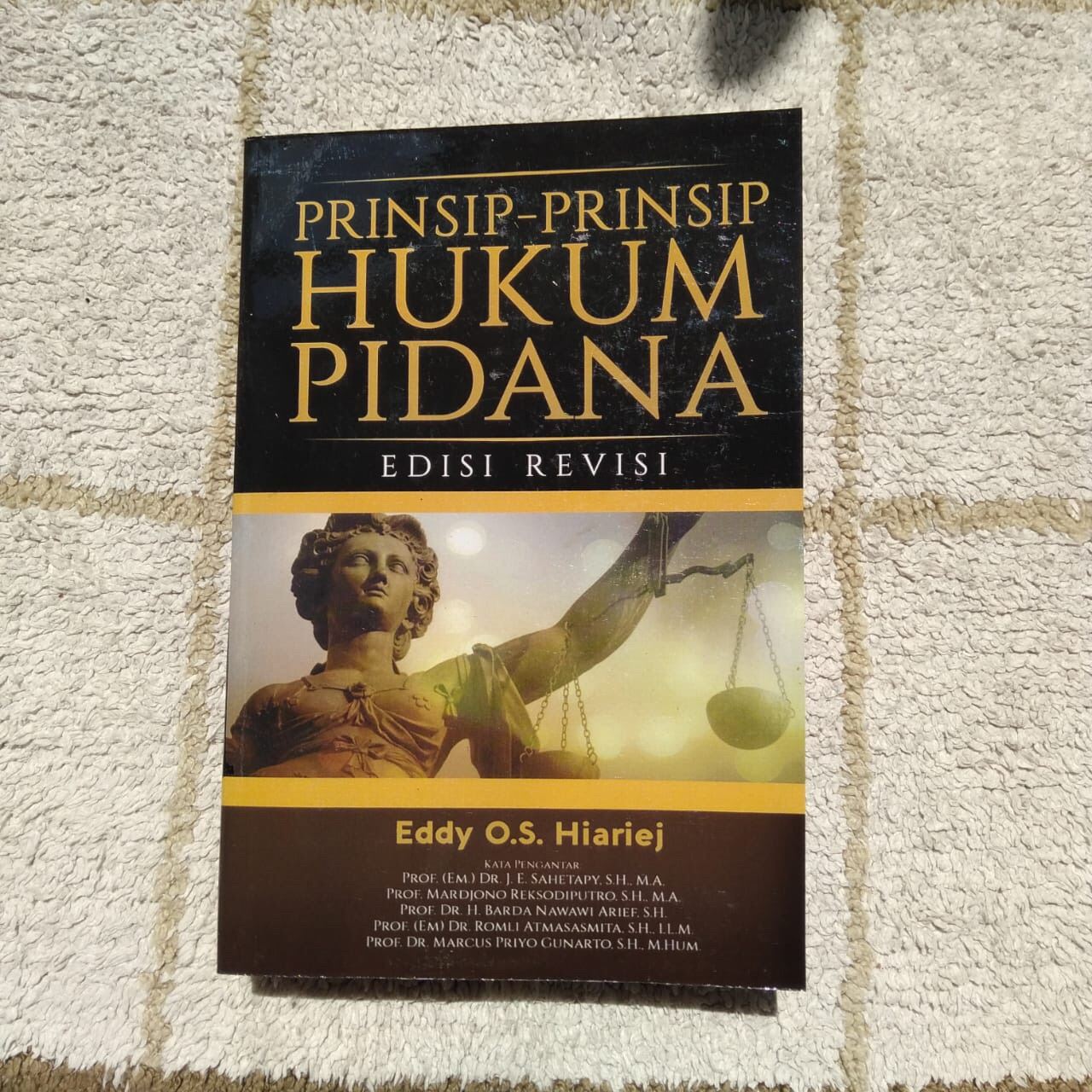 PRINSIP - PRINSIP HUKUM PIDANA ( EDISI REVISI ) - EDDY O S HIARIEJ ...