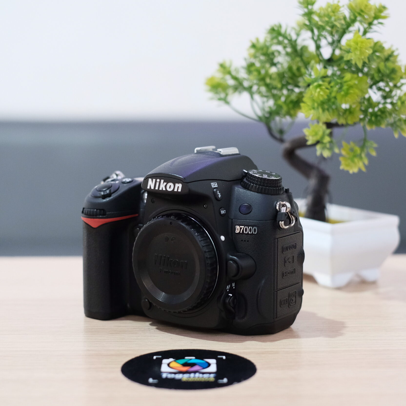 Rhyton Gucci Sneaker 39 Women's Rhyton Sneaker With Gucci Logo In