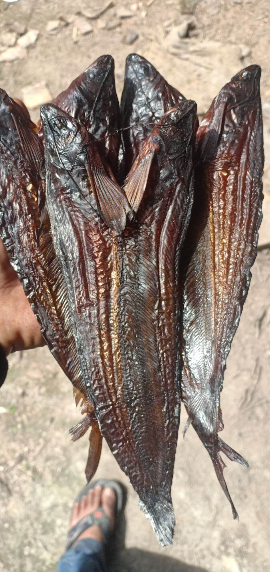 Ikan Salai Selais Khas Riau Lazada Indonesia