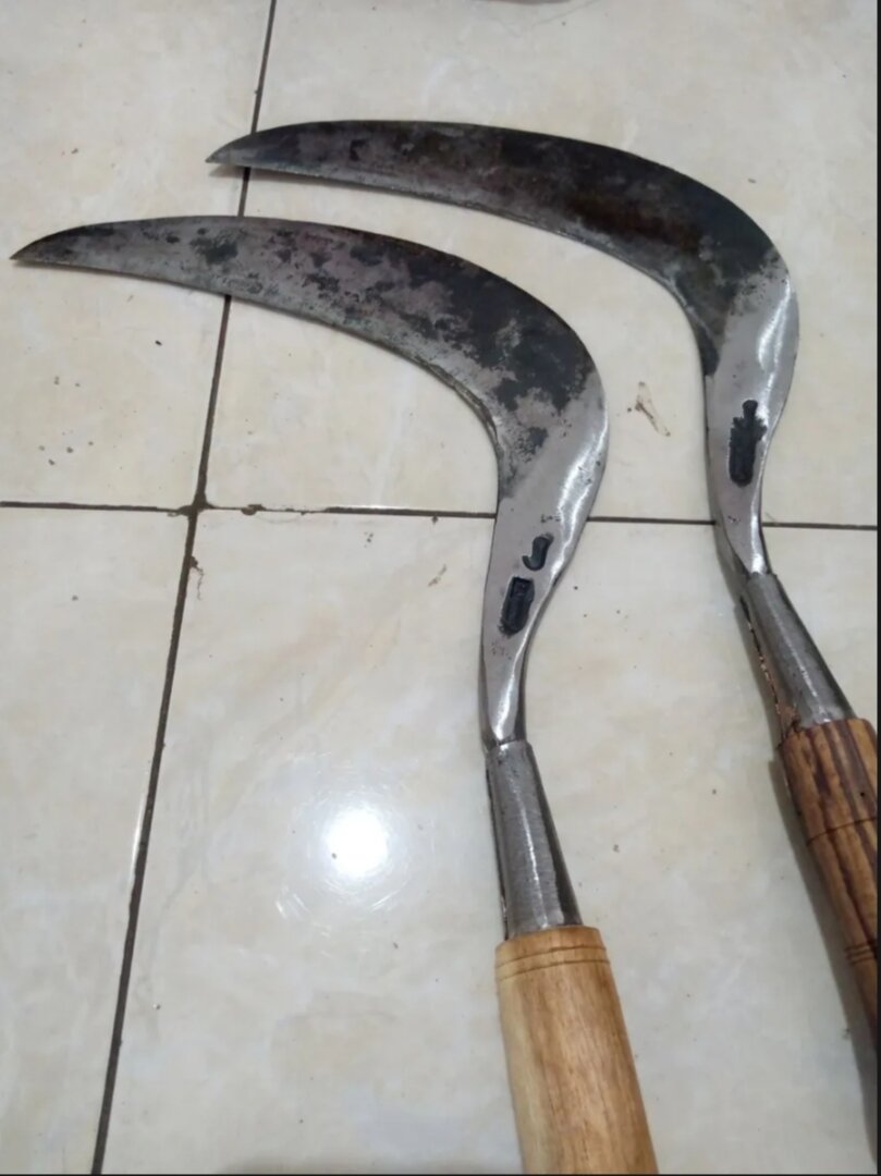 Alat Sambit Rumput TERBARU Arit atau Sabit Rumput Jawa Baja Isen Alat Perkebunan | Lazada ...