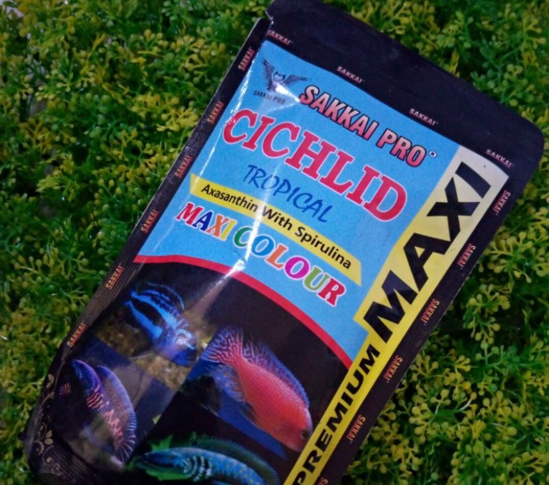 Makanan Ikan SAKKAI PRO Premium Maxi Colour 100GR