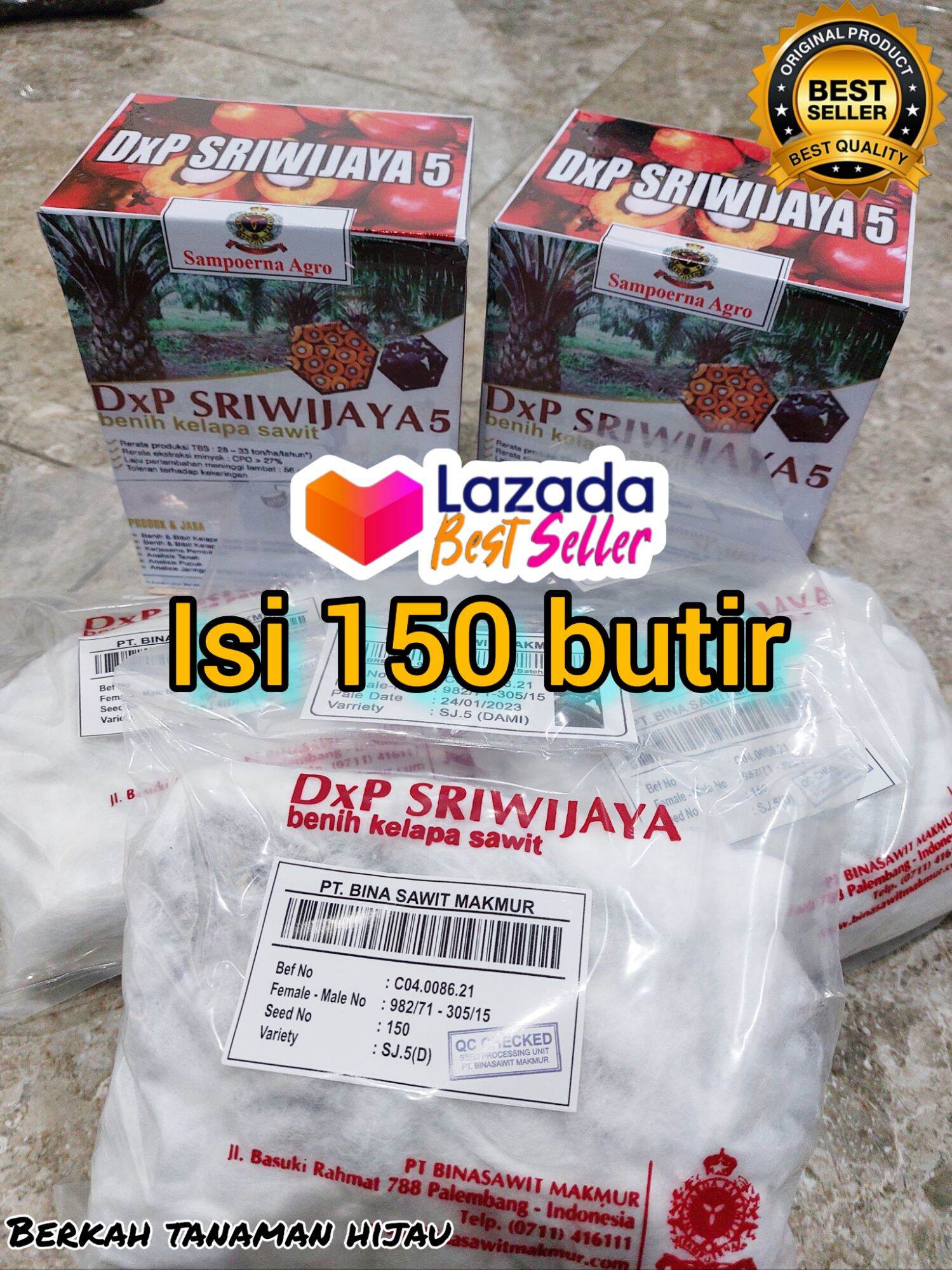 Dxp Sriwijaya Sj5 Oil Palm Sprout Seeds, 150 Items Harga 300,000 rupiah*Gratis Ongkir
