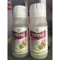 Ethrel 480sl 100ml zpt pematang buah