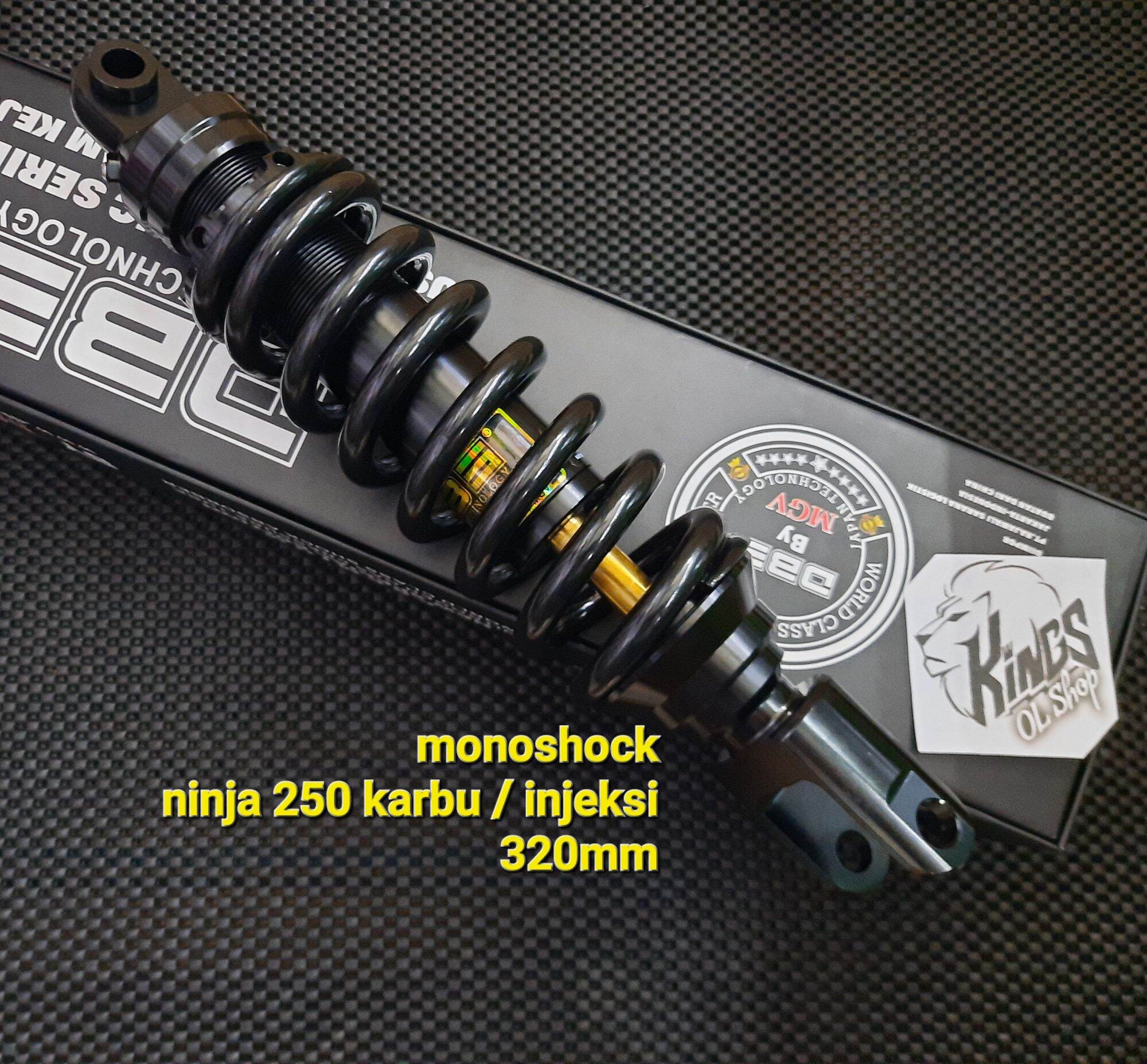 ninja 250 sl vs ninja 250 fi