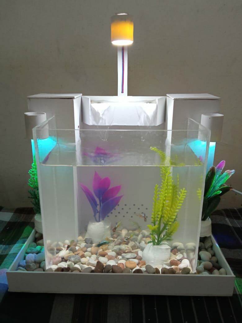 Aquarium Mini Akrilik R Lazada Indonesia