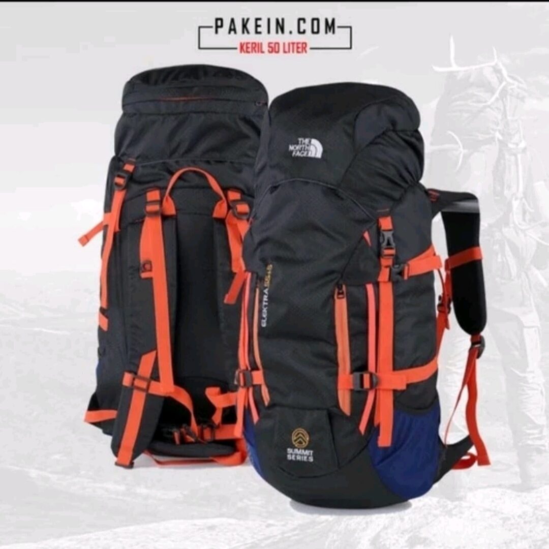 the north face carrier