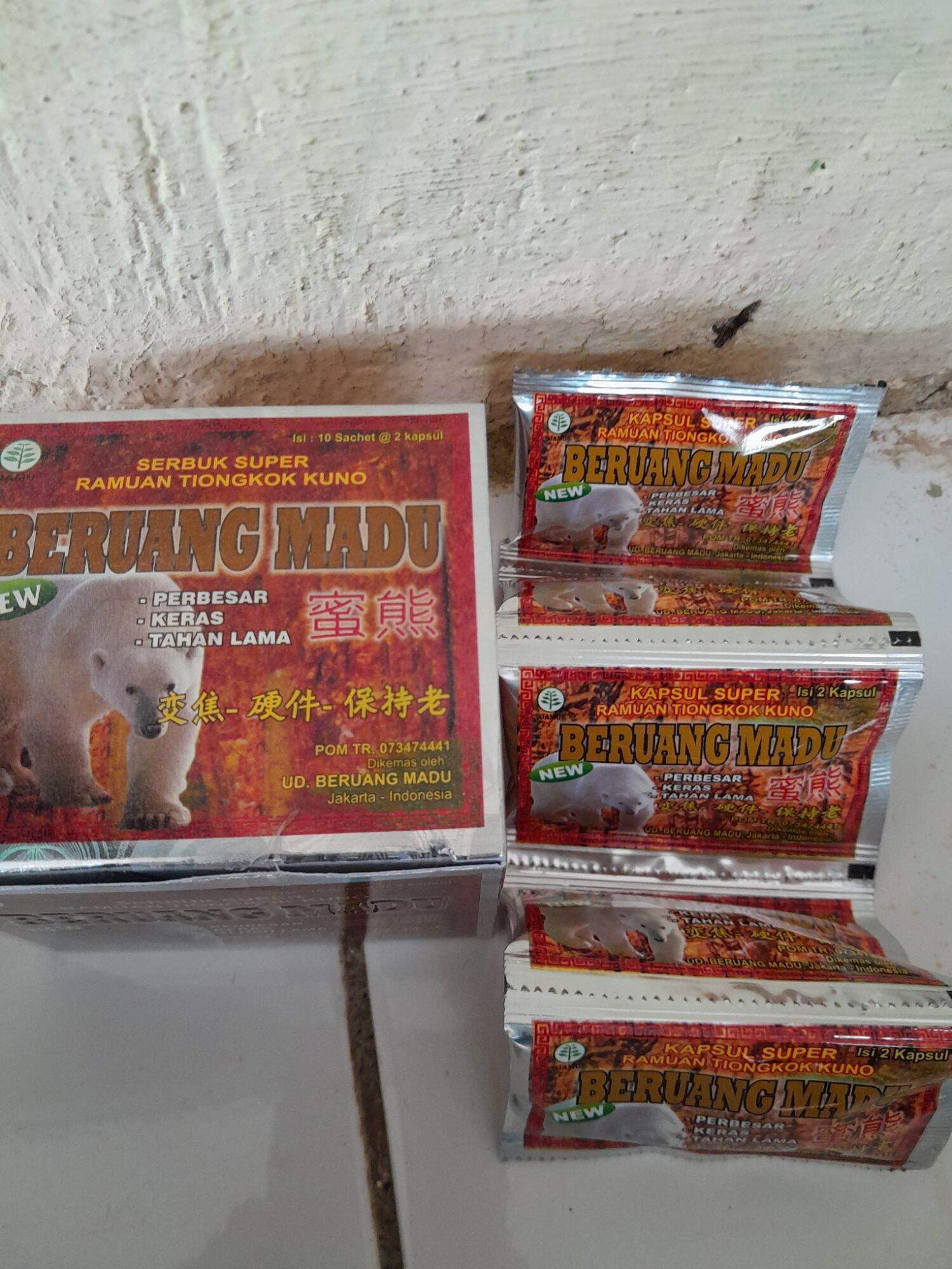 beruang madu