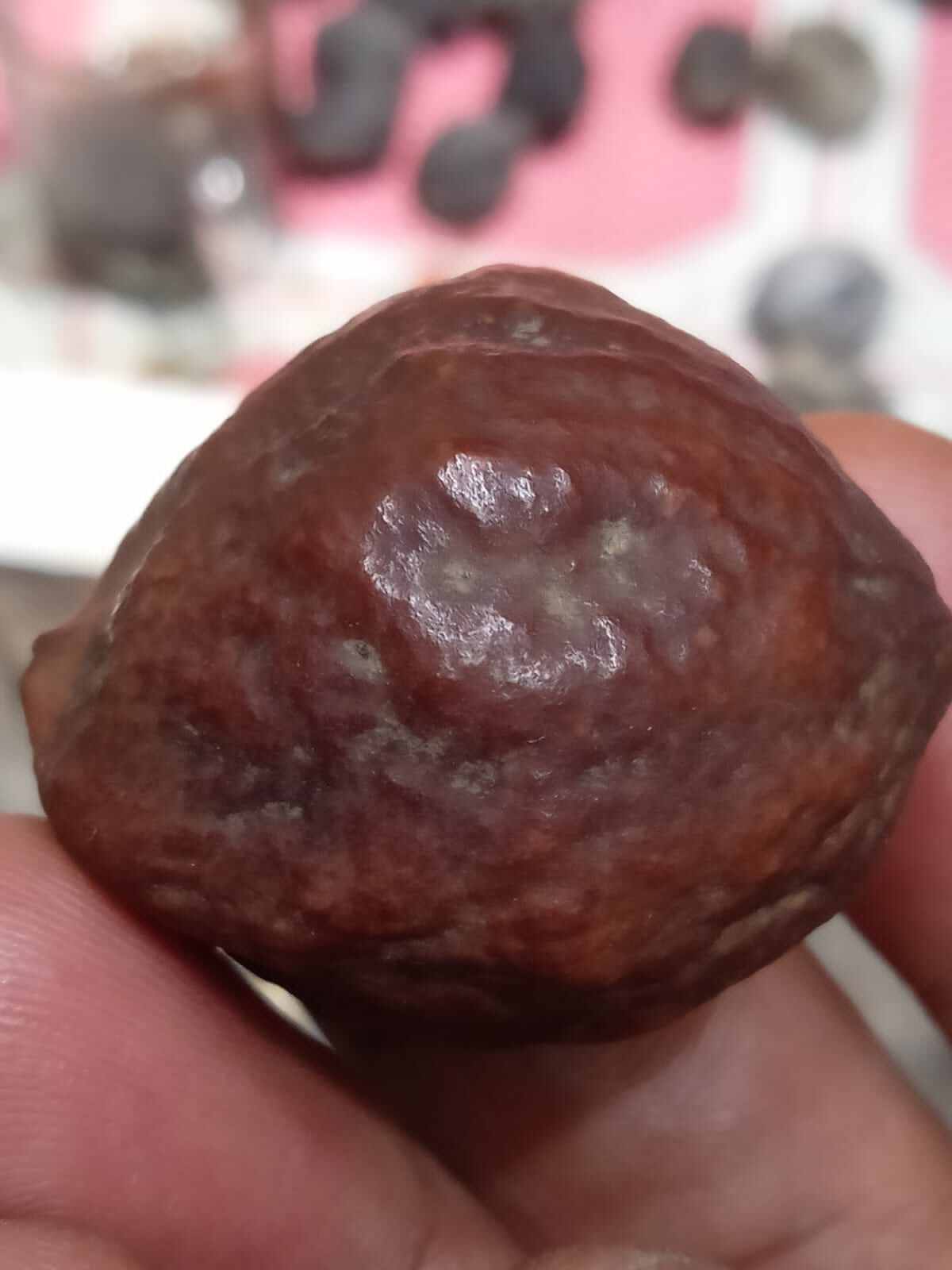 Yalangoch, domboq qizlarning suratlari