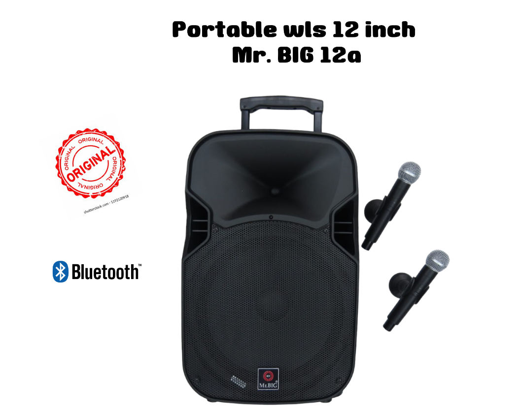 Speaker sales mr big