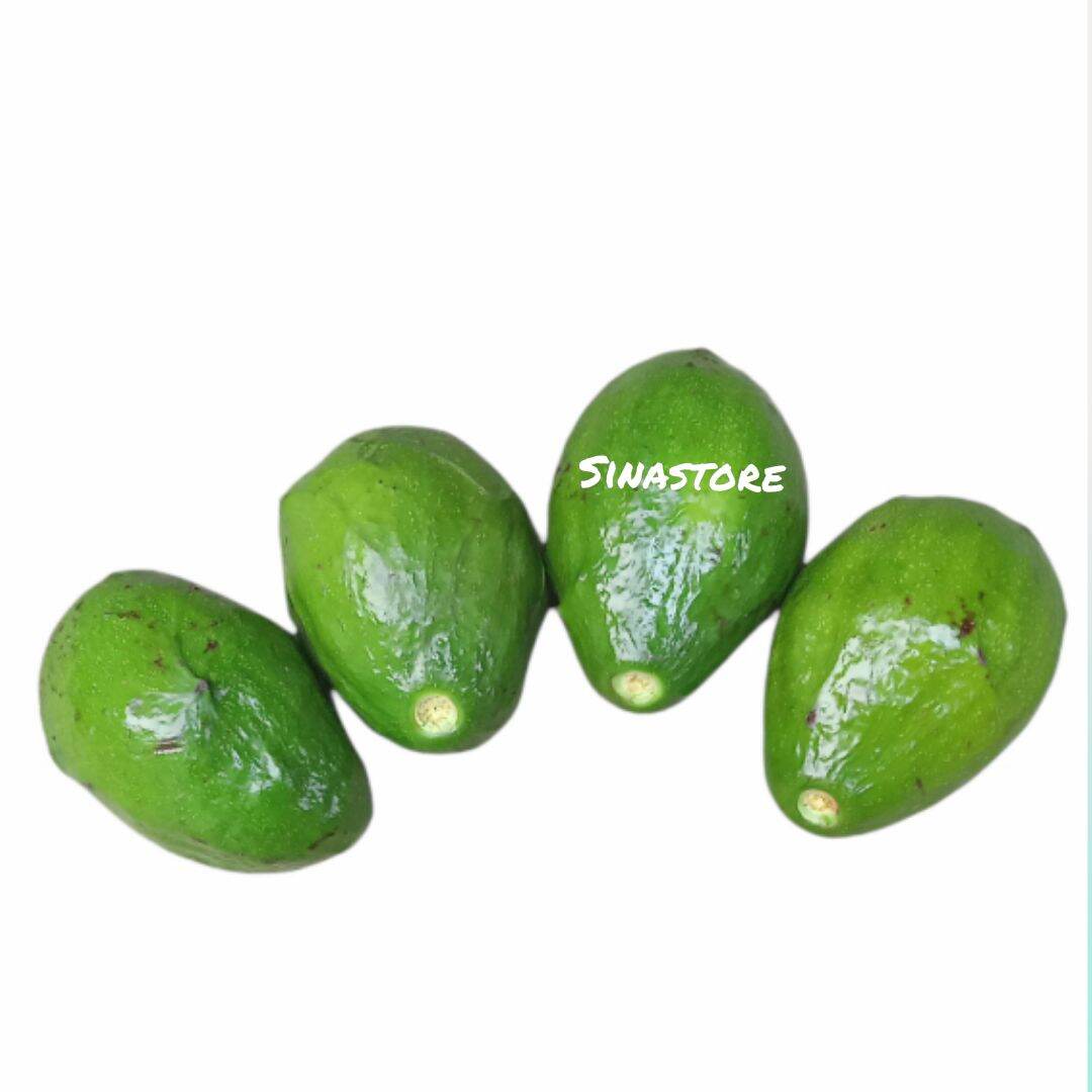 Jual Buah Alpukat 1kg Terlengkap Lazada.co.id