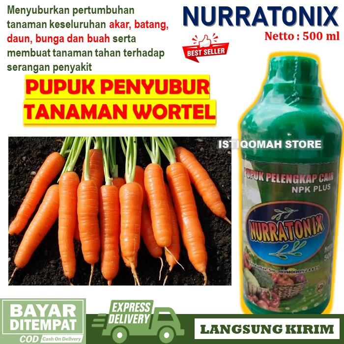 Pupuk Ampuh Penyubur Tanaman Wortel