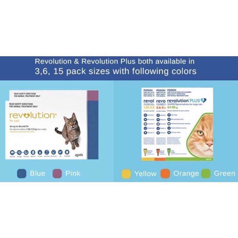 Revolution Plus Orange For Cat Per Box Isi Lazada - Main Image