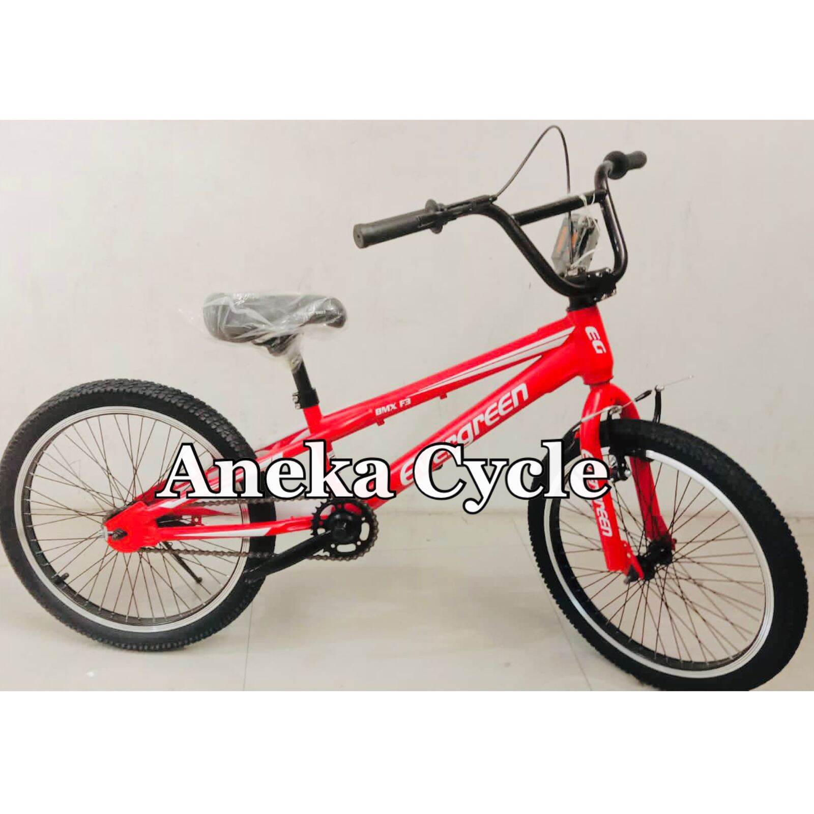 Sepeda BMX Evergreen F3 Torpedo Rotor 