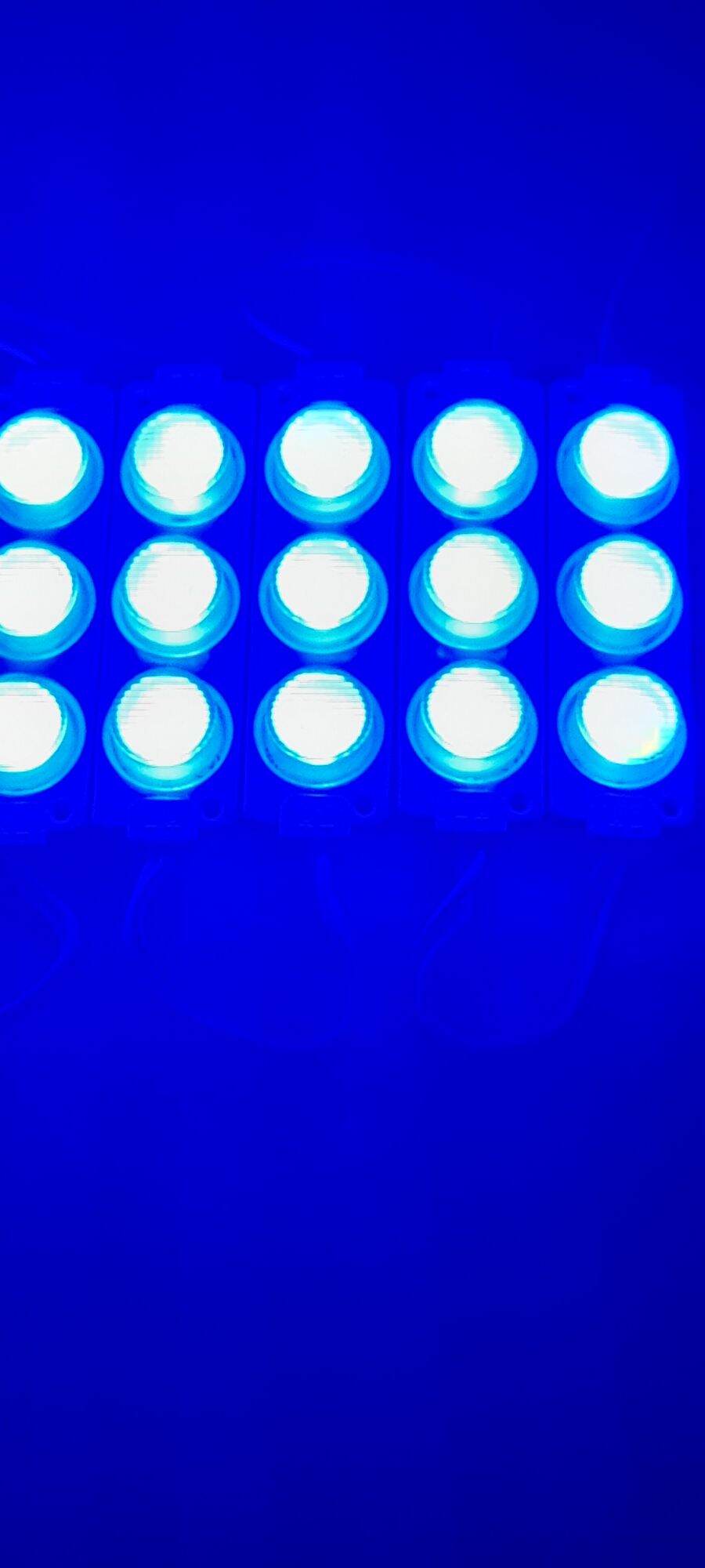 Lampu Strip Modul Led 3 Mata Jumbo Warna Biru 12 Volt Dan 24 Volt ...