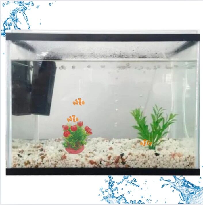 HIASAN DEKORASI TANAMAN RUMPUT BUNGA AQUARIUM AQUASCAPE