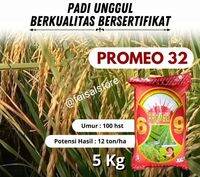 Benih padi inpari 32 promeo berkualitas kemasan 5kg