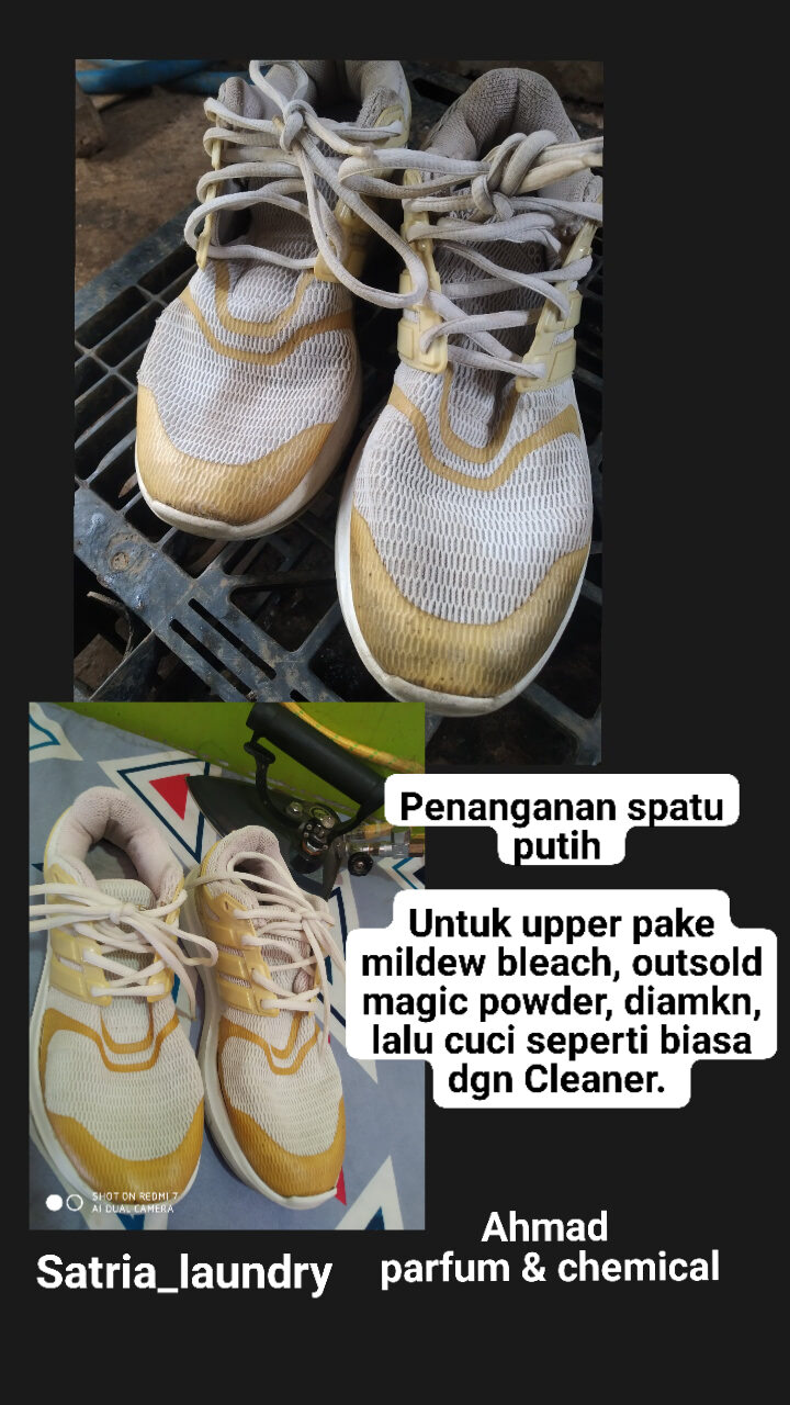 mildew bleach 250ml cairan untuk menghilangkan noda luntur, jamur di baju tas sepatu. 