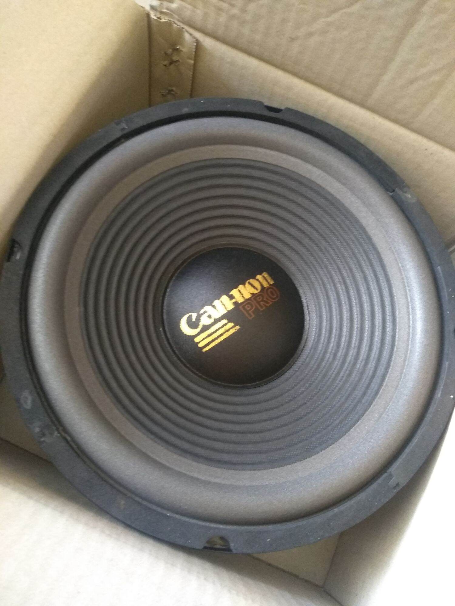 speaker canon 6 inch