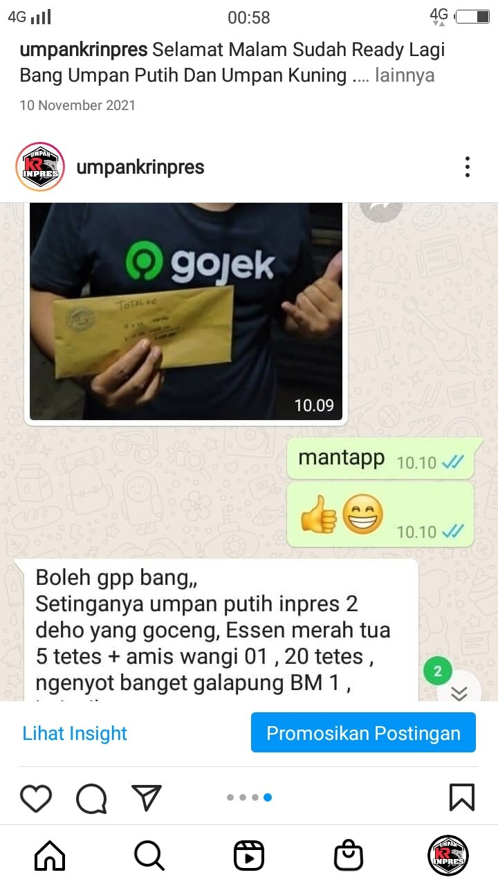 UMPAN PUTIH KR INPRES - LOMBA HARIAN DAN GALAPUNG | Lazada Indonesia