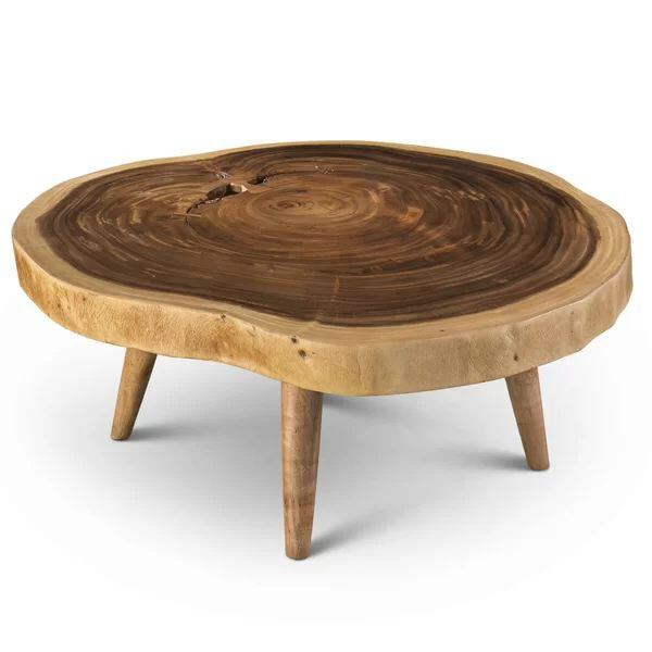 chamcha wood coffee table