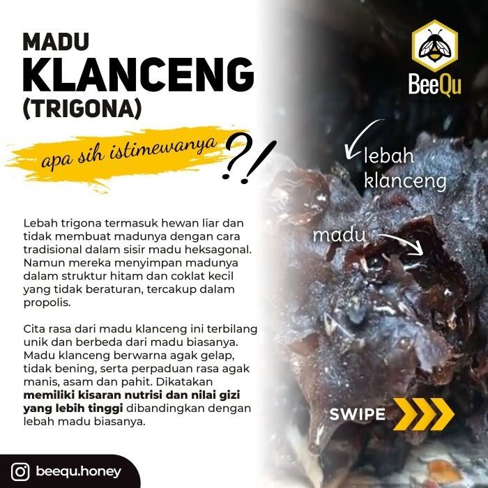 Madu Klanceng, Lanceng, Trigona, Kelulut, Teuweul, Kele 330 Gram Asli dan Murni - BeeQu Honey | Lazada Indonesia