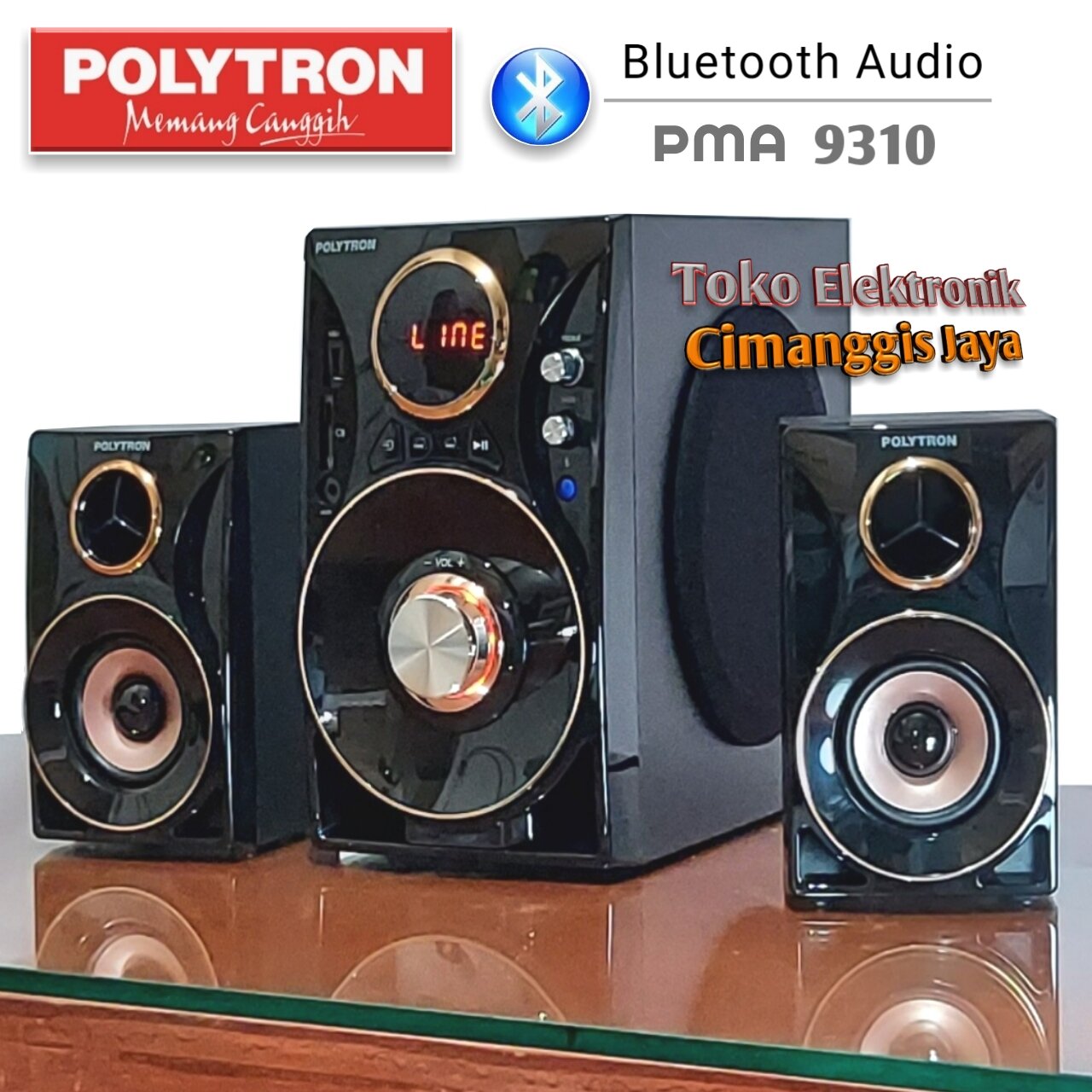 speaker bluetooth pma 9310