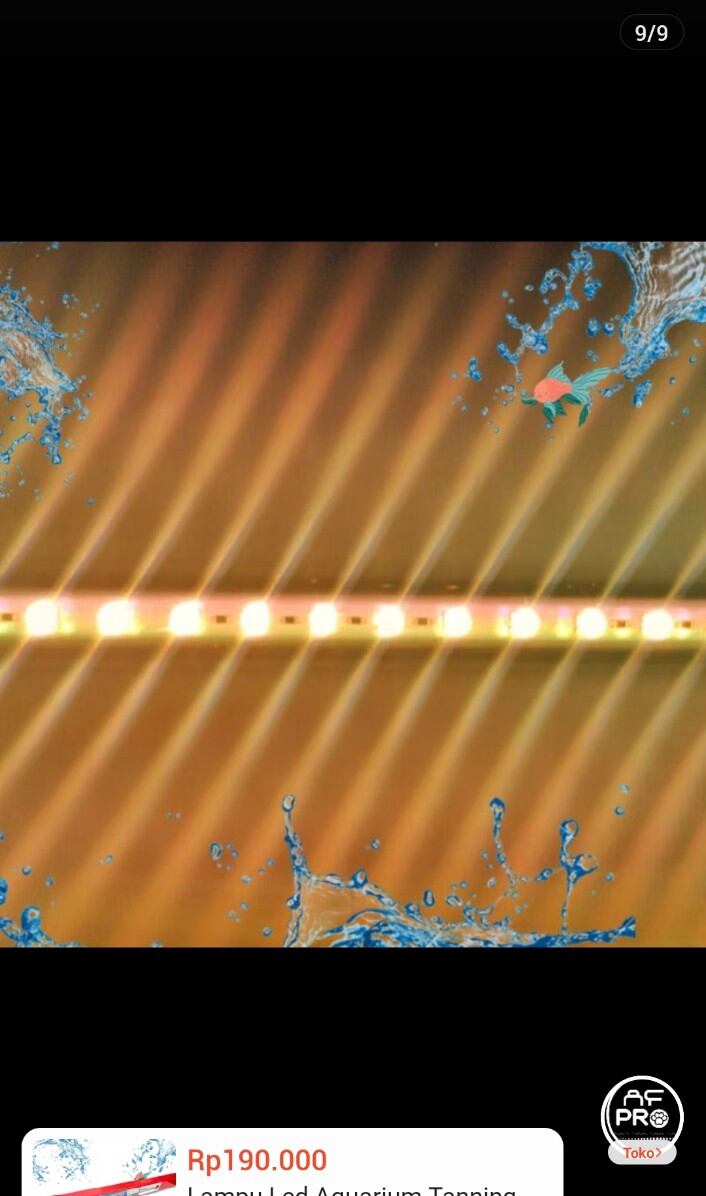 LAMPU LED AQUAMAN T5 58 5X GANTI WARNA LAMPU TANNING PREMIUM KOLAM AQUARIUM
