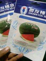BENIH SEMANGKA JUVE F1 20 GRAM