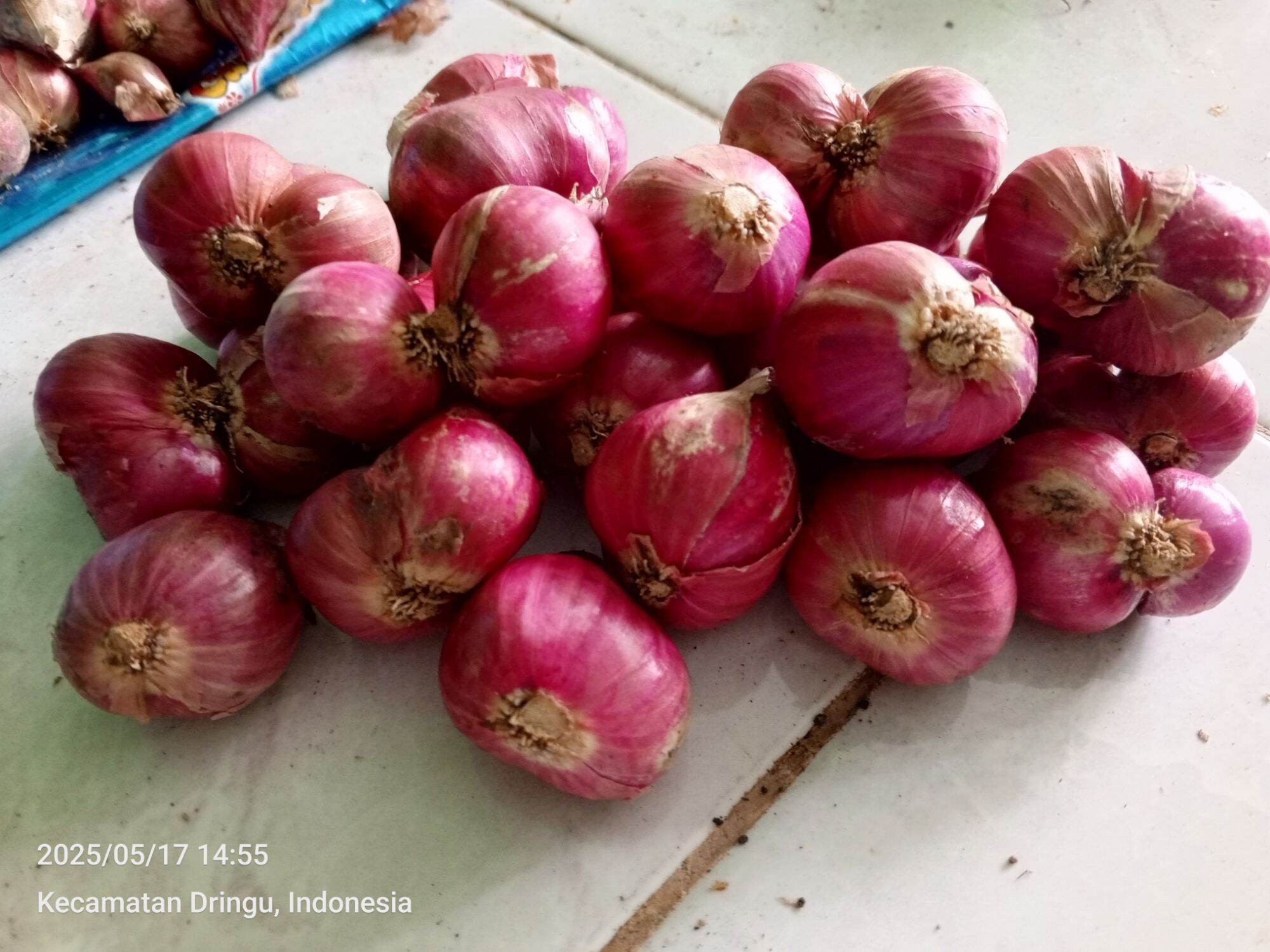 Bawang Merah Subang B