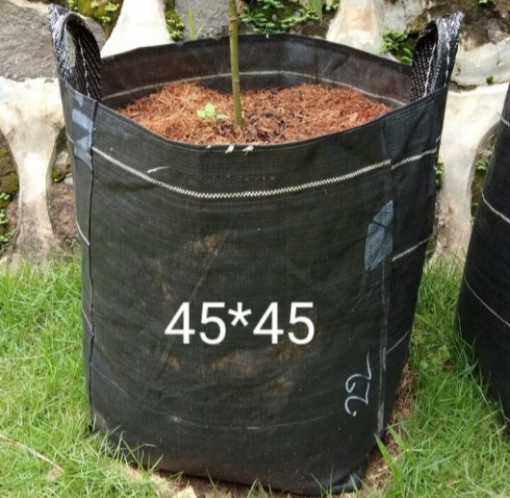 Jual Planter Bag Tanaman Hijau Dan Hitam 4 12 22 32 50 75 100 150 Liter - Planter  Bag