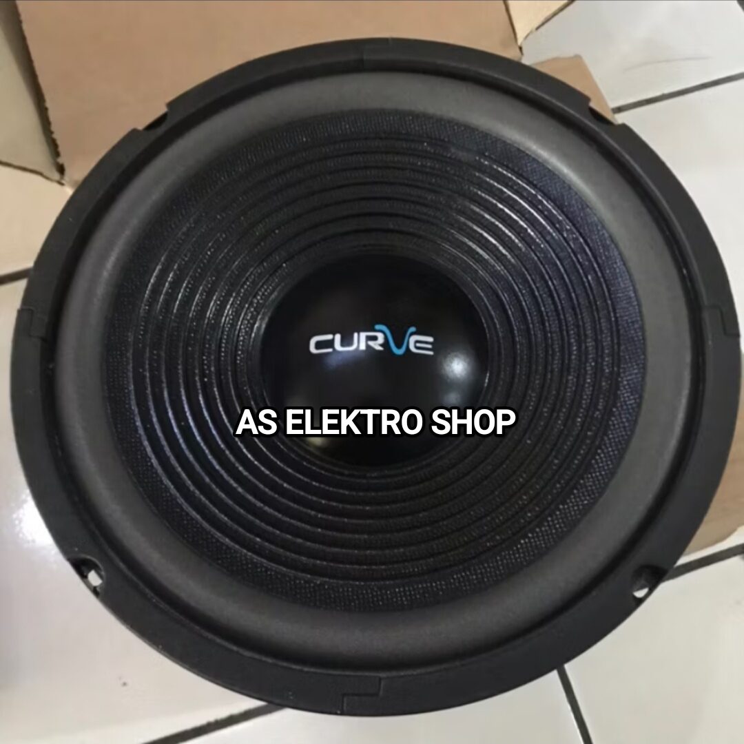 SPEAKER WOOFER 10 ICH CURVE 300 YANG WATT 8 OHM VOICE COIL 25MM ORIGINAL Harga 118,000 rupiah*Gratis Ongkir