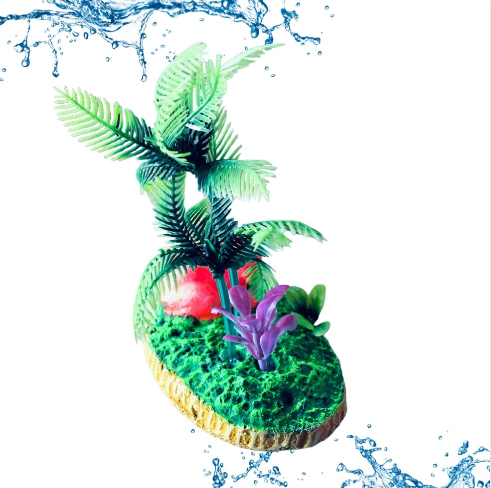 HIASAN KATAK KELAPA DEKORASI AQUARIUM AQUASCAPE