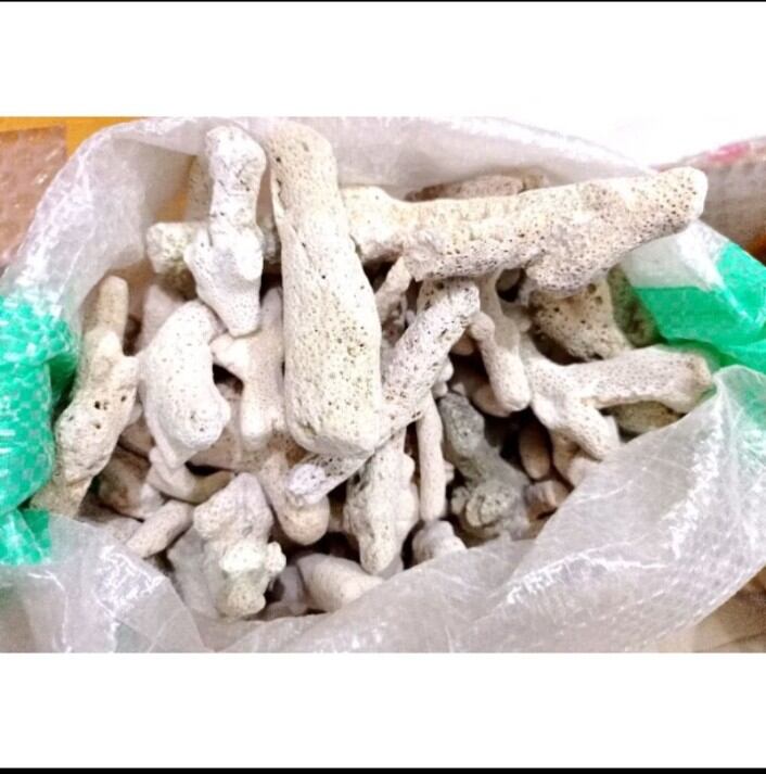 Media Filter Kolam Aquarium Karang Jahe 1kg