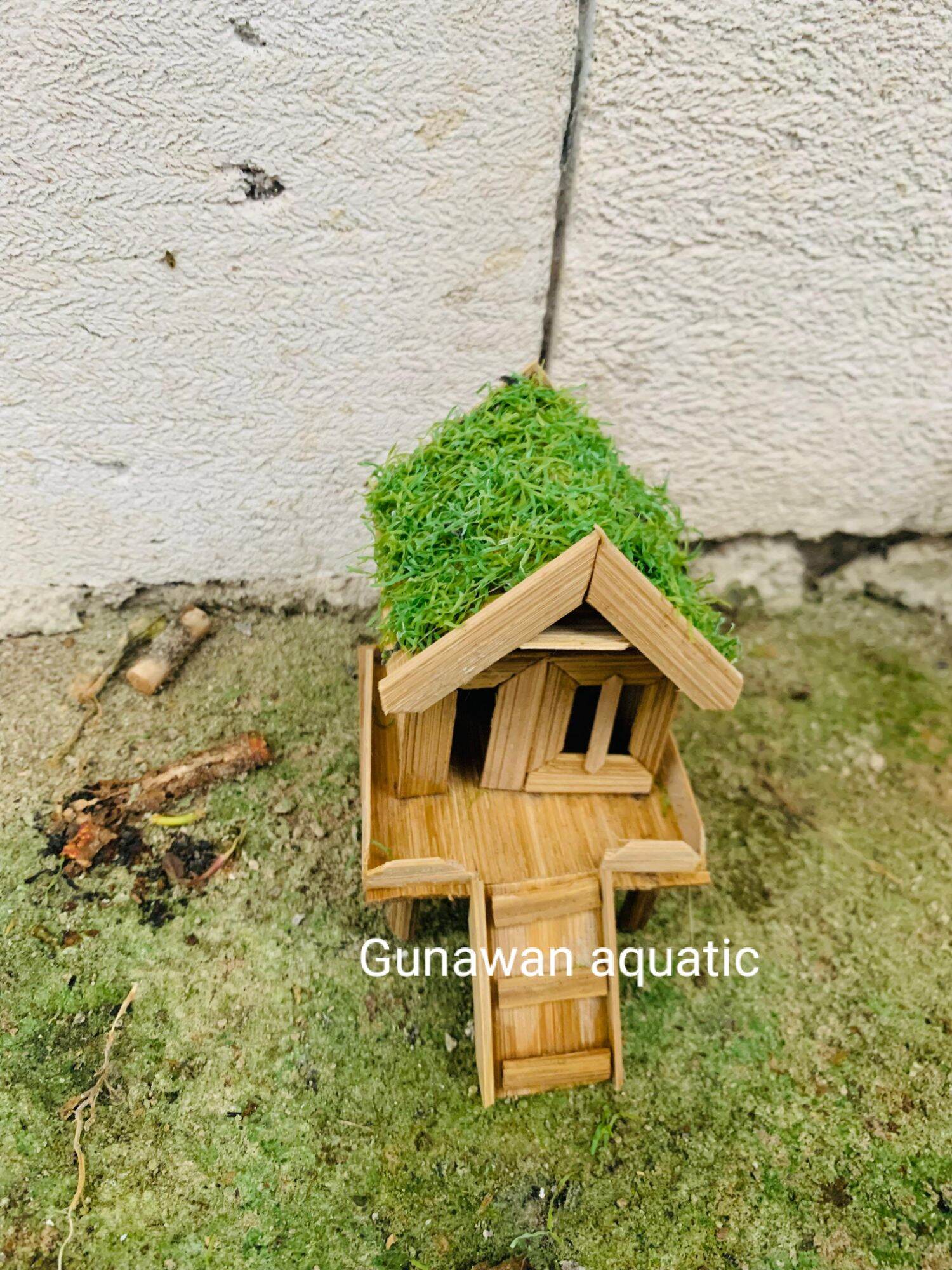 miniatur rumah + moss aquascape