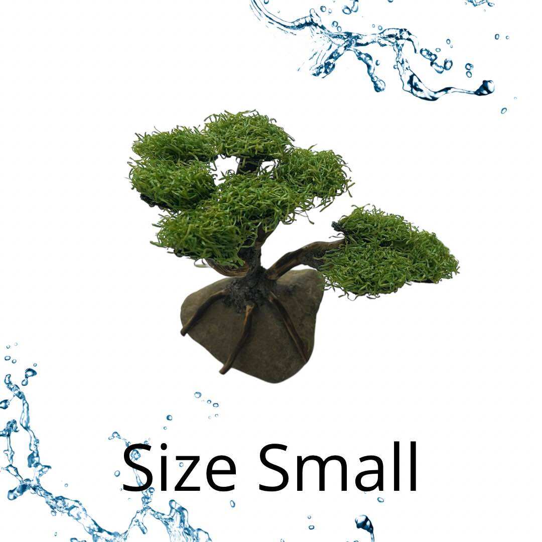 Hiasan Dekorasi Aquarium Aquascape TANAMAN BONSAI MOSS SIZE MEDIUM / SMALL