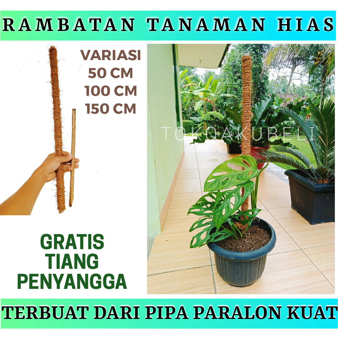 Turus Penyangga Tanaman Rambatan Tanaman Tiang Rambatan Tanaman Hias Ajir 50cm Ajir 100cm 3054