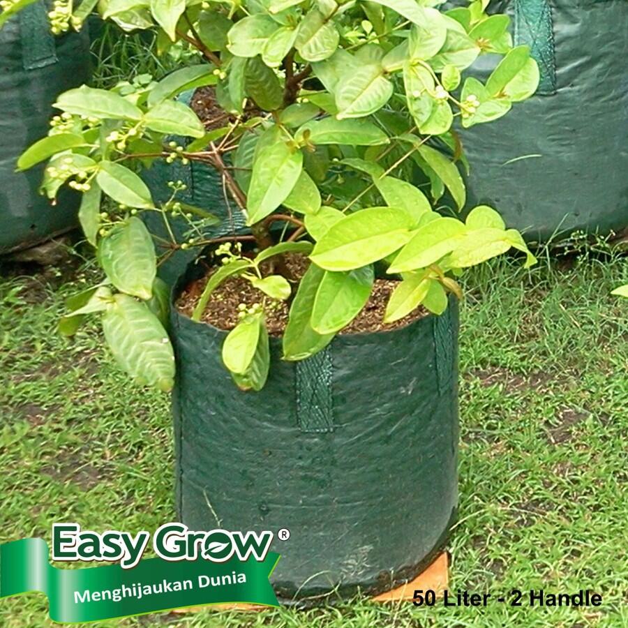 Planter Bag 100 Liter – Dadi Makmur