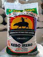 Benih padi unggul Pandan wangi / sintanur bersertifikat kemasan 5kg