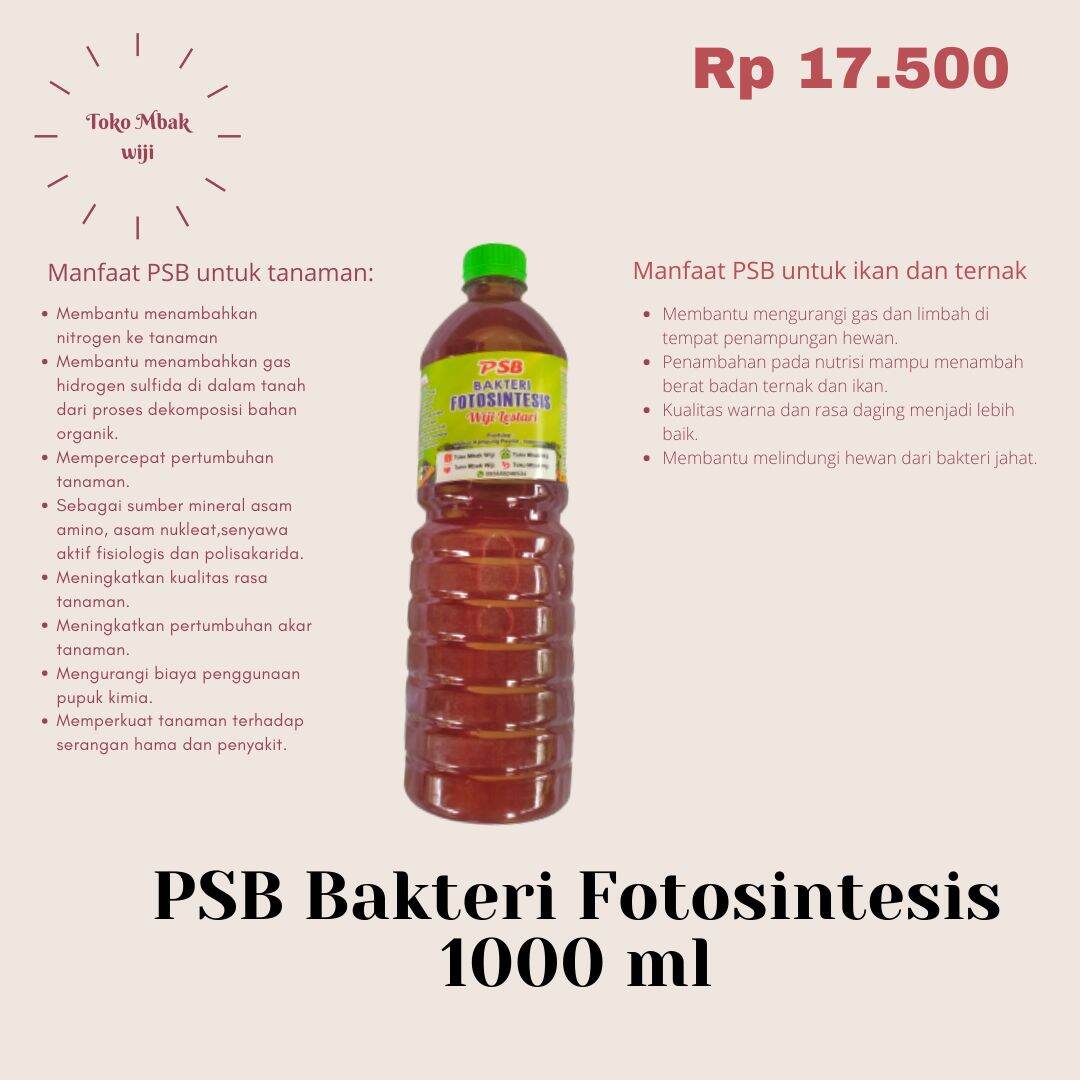 Psb Biang Bakteri Fotosintesis Kemaaan 1 Lt Lazada Indonesia