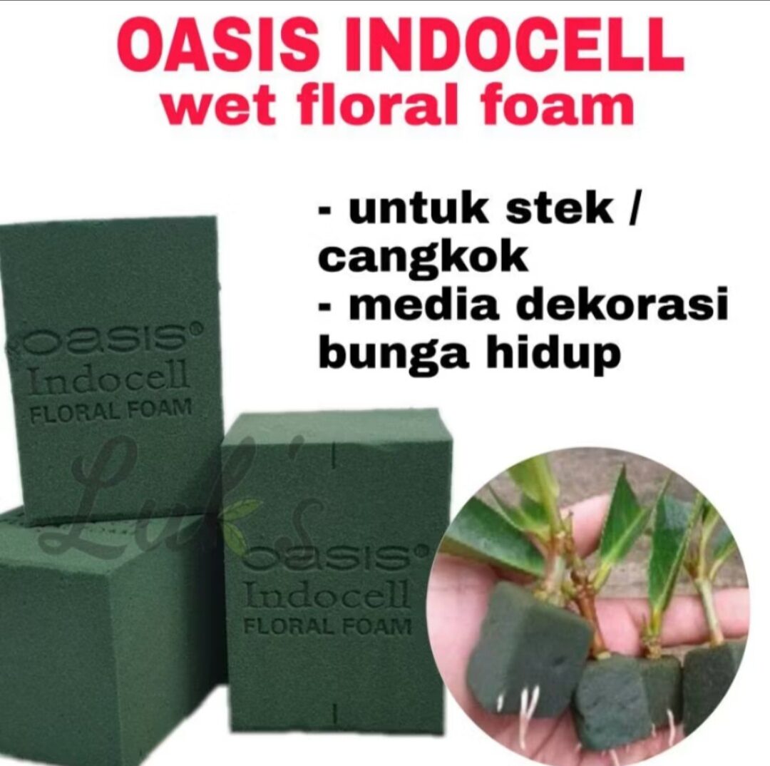 Oasis Indocell Floral Foam Basah Satuan Bunga Segar Busa Basah Fresh Flower Foam Bunga Florist