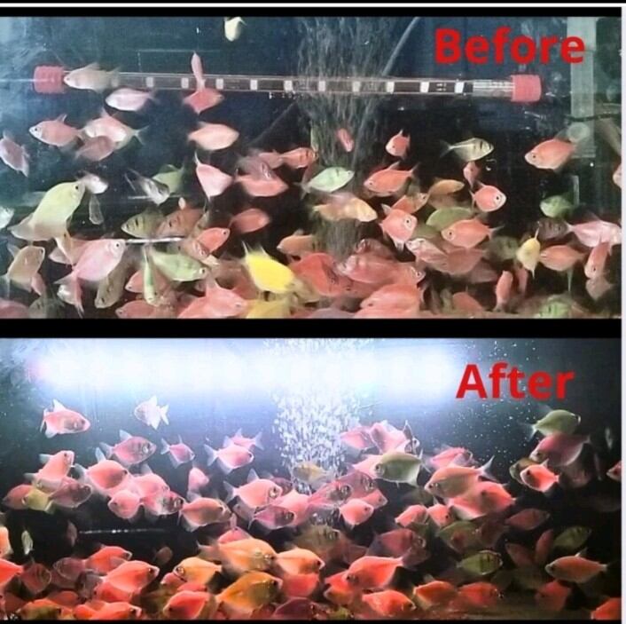 YMN / KANDILA PRO RED VIEW ECO 400 Lampu Celup Led Tanning Aquarium Aquascape