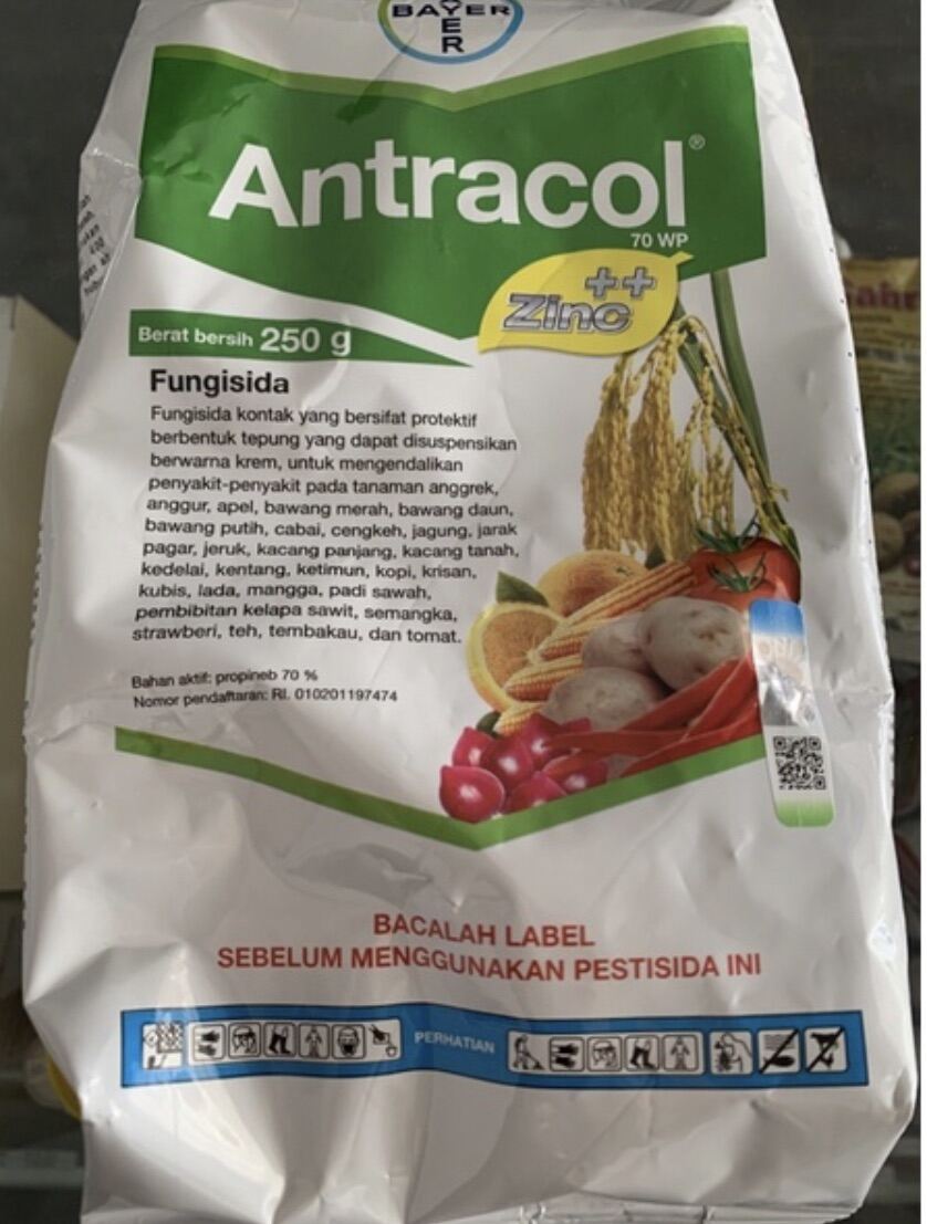 FUNGISIDA ANTRACOL - 250 Gram | Lazada Indonesia