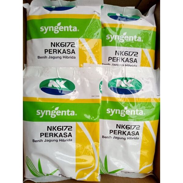 Benih Jagung Hibrida Syngenta Nk Perkasa 6172 Kemasan 1kg Original ...