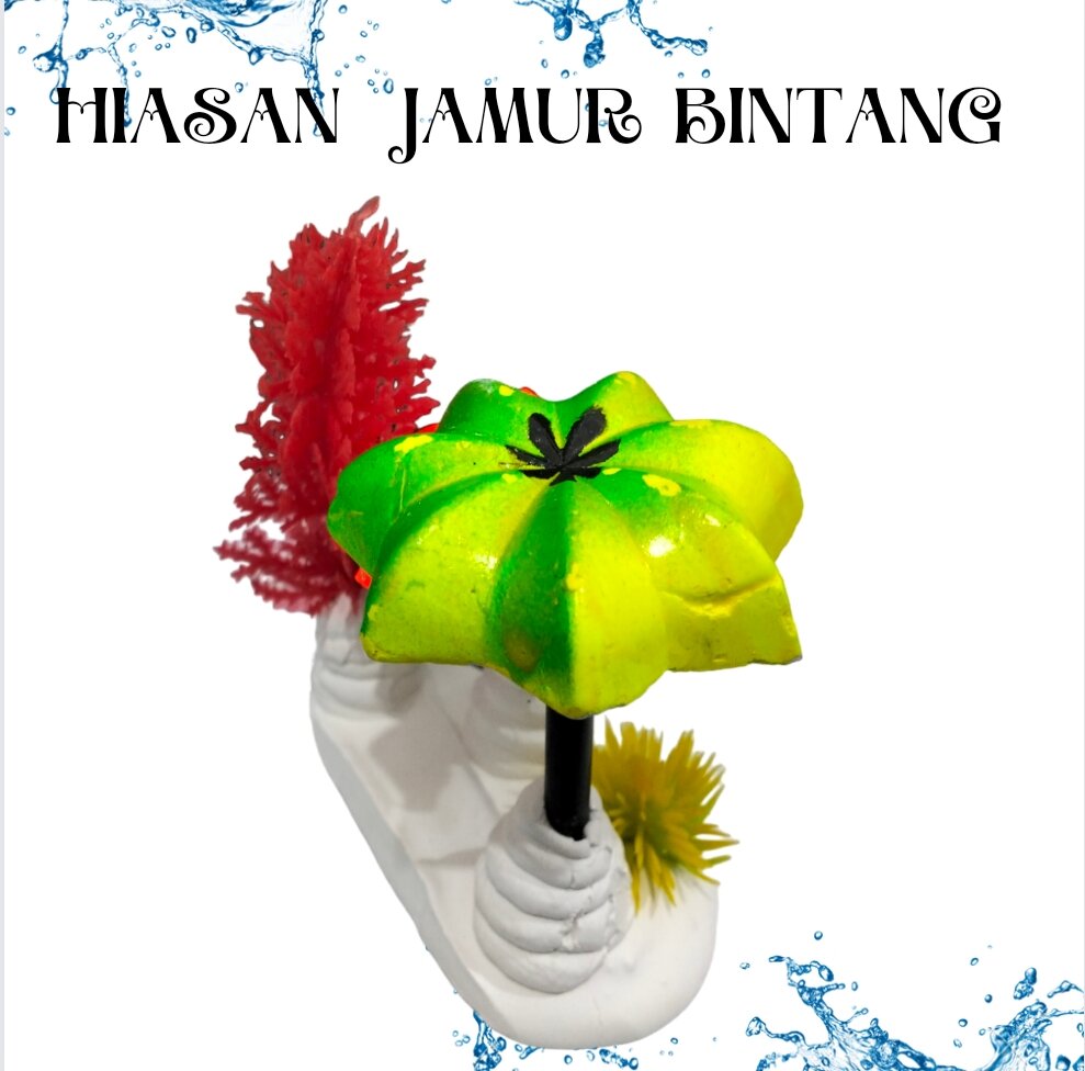 TANAMAN JAMUR BINTANG HIASAN DEKORASI AQUARIUM AQUASCAPE