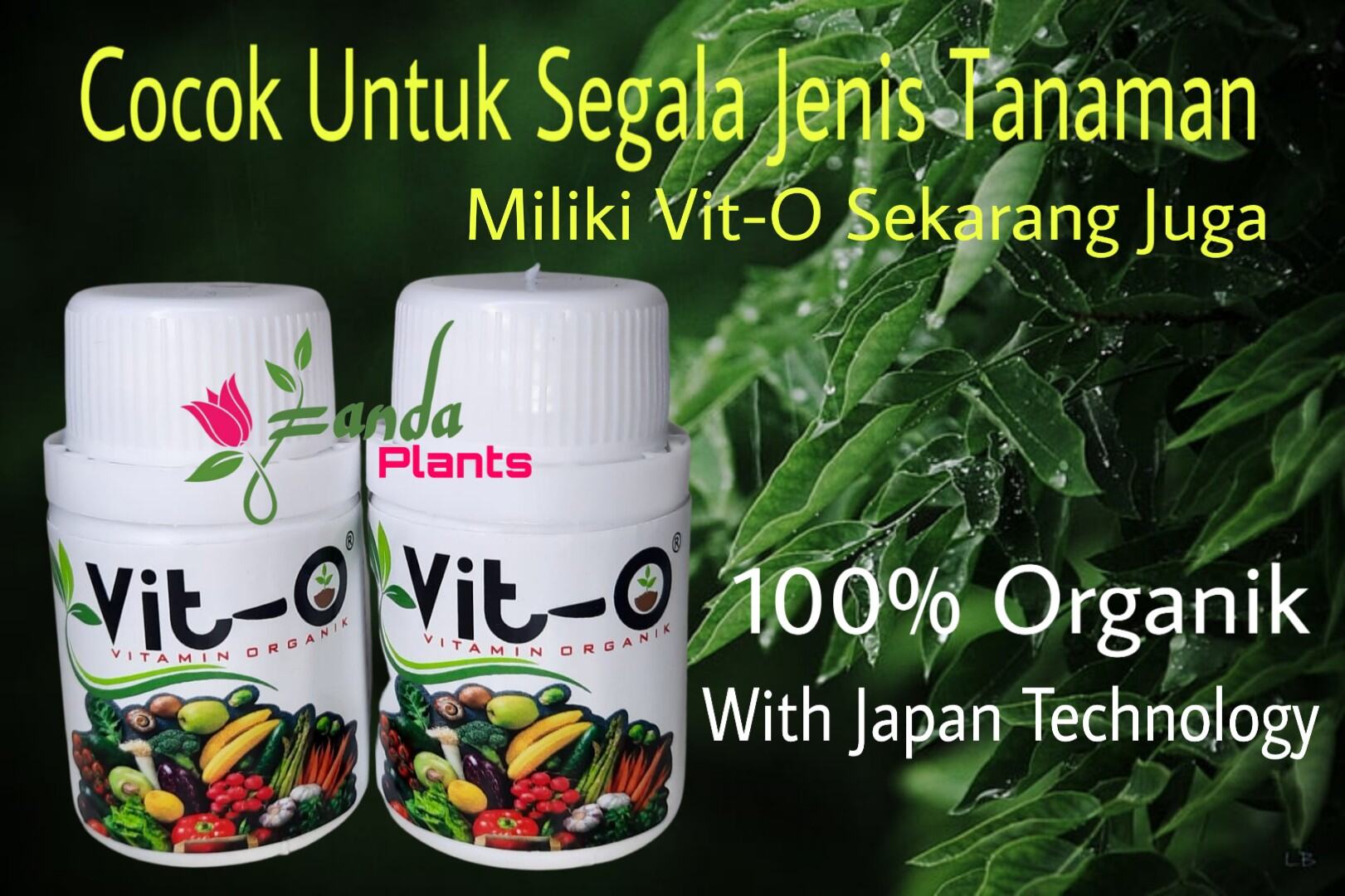 Vit O Vitamin Tanaman Nutrisi Tanaman Pupuk Organik Pupuk Vitamin B1 ...